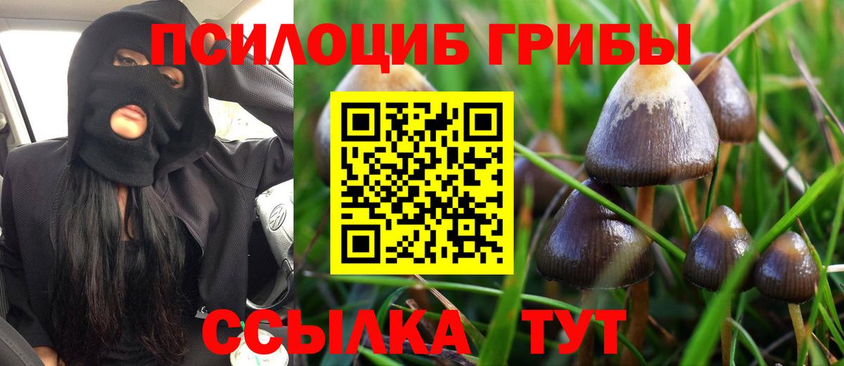 Галлюциногенные грибы Psilocybine cubensis Павлово